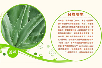 芦荟粉