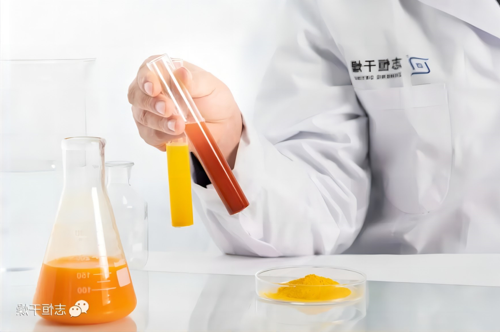 产品应用篇丨叶黄素！